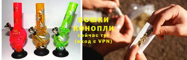 индика Белокуриха
