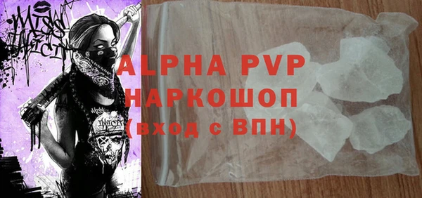 индика Белокуриха