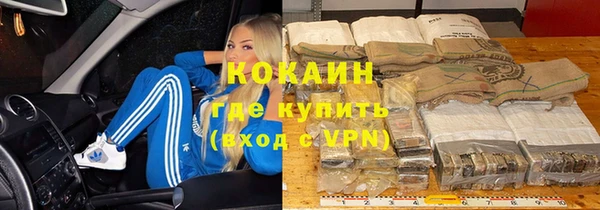 индика Белокуриха