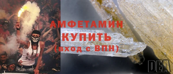 индика Белокуриха