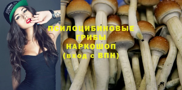 индика Белокуриха