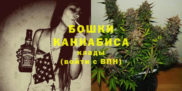 индика Белокуриха
