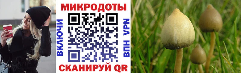 Галлюциногенные грибы ЛСД  kraken ONION  Эртиль 